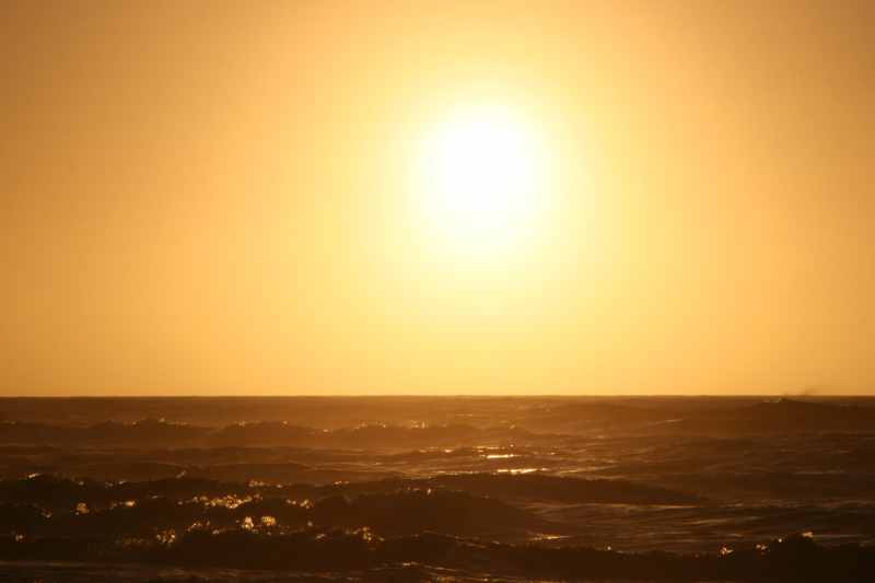 Nieuw-Zeeland 2011 - 1364